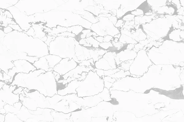 1999-LT — glossy ceramic tiles