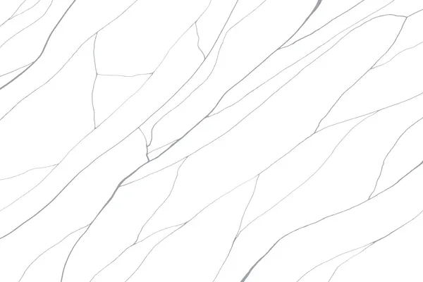 2205-LT — glossy ceramic tiles