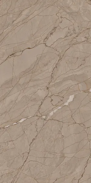 CR WINTEZ BROWN — carving vitrified porcelain tiles
